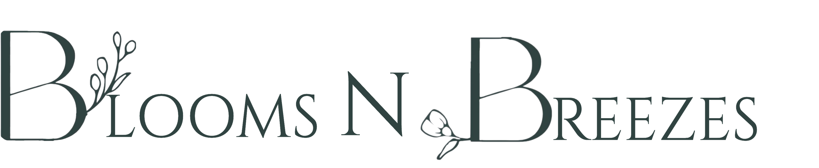 Blooms n Breezes logo